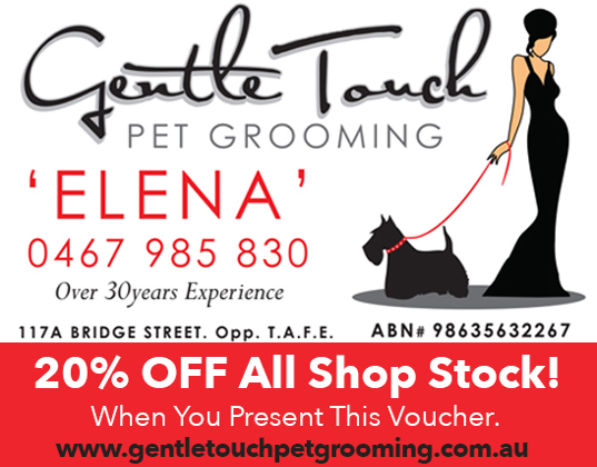 pet grooming toowoomba