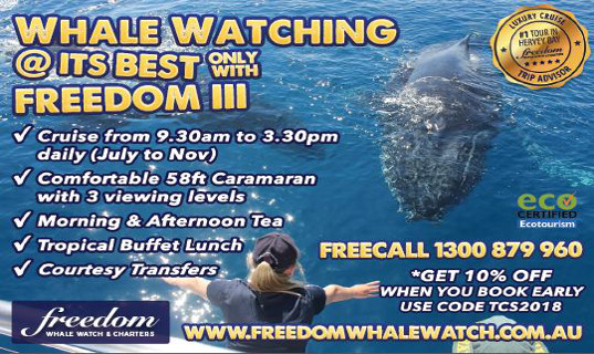 freedom whale watch